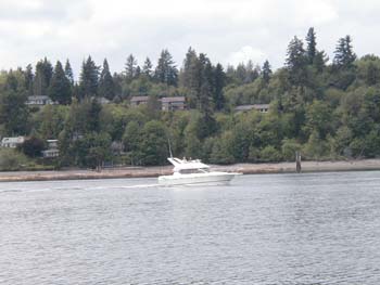 Olympia37